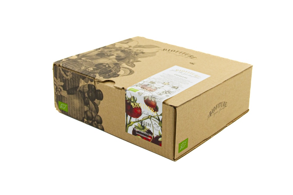 Bio Fruchtaufstrich ERDBEERE  100x20g