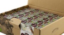 BIO Fruchtaufstrich Sauerkirsche 100x20g