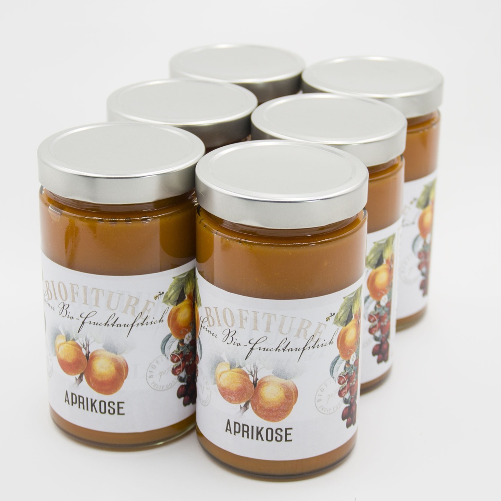 BIO Fruchtaufstrich Aprikose 6x750g