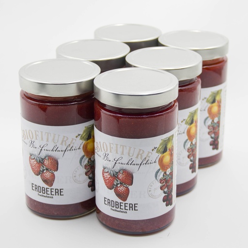 [0103-6xx] BIO Fruchtaufstrich Erdbeere 6x 750 g Glas